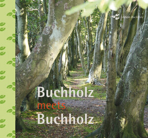 Buchcover Buchholz meets Buchholz | Detlev Enneper | EAN 9783943865004 | ISBN 3-943865-00-2 | ISBN 978-3-943865-00-4