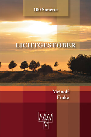 Buchcover Lichtgestöber | Meinolf Finke | EAN 9783943910049 | ISBN 3-943910-04-0 | ISBN 978-3-943910-04-9