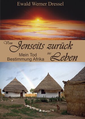Buchcover Vom Jenseits zurück ins Leben | Ewald Werner Dressel | EAN 9783943944013 | ISBN 3-943944-01-8 | ISBN 978-3-943944-01-3