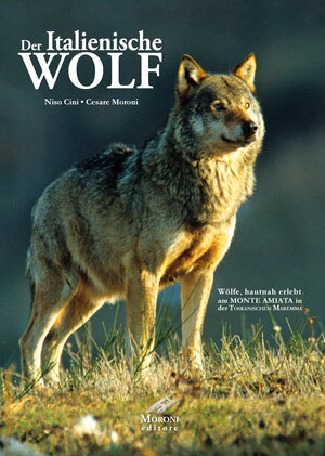 Buchcover Der italienische Wolf | Niso Cini | EAN 9783944027289 | ISBN 3-944027-28-0 | ISBN 978-3-944027-28-9