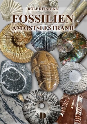 Buchcover Fossilien am Ostseestrand | Rolf Reinicke | EAN 9783944102368 | ISBN 3-944102-36-3 | ISBN 978-3-944102-36-8