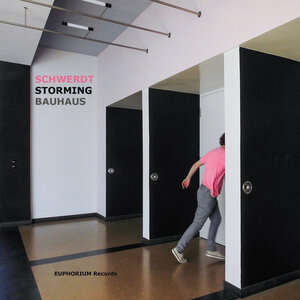 Buchcover The Storming Of The Bauhaus Dessau | Oliver Schwerdt | EAN 9783944301464 | ISBN 3-944301-46-3 | ISBN 978-3-944301-46-4