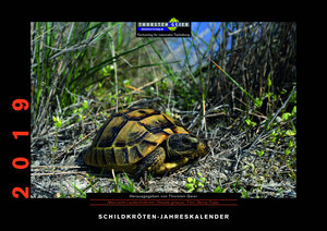 Buchcover Schildkröten-Jahreskalender 2019  | EAN 9783944484228 | ISBN 3-944484-22-3 | ISBN 978-3-944484-22-8