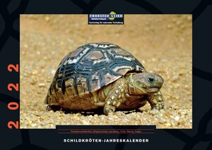 Buchcover Schildkröten-Jahreskalender 2022  | EAN 9783944484310 | ISBN 3-944484-31-2 | ISBN 978-3-944484-31-0