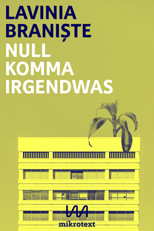Buchcover Null Komma Irgendwas | Lavinia Branişte | EAN 9783944543604 | ISBN 3-944543-60-2 | ISBN 978-3-944543-60-4