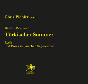 Buchcover Türkischer Sommer | Berndt Mosblech | EAN 9783944566528 | ISBN 3-944566-52-1 | ISBN 978-3-944566-52-8