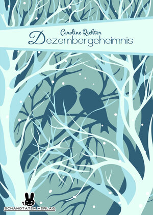 Buchcover Dezembergeheimnis | Caroline Richter | EAN 9783944647050 | ISBN 3-944647-05-X | ISBN 978-3-944647-05-0