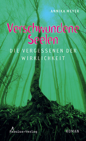 Buchcover Verschwundene Seelen | Annika Meyer | EAN 9783944788173 | ISBN 3-944788-17-6 | ISBN 978-3-944788-17-3