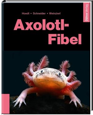 Buchcover Axolotl-Fibel | Werner Hoedt | EAN 9783944821153 | ISBN 3-944821-15-7 | ISBN 978-3-944821-15-3