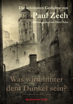 Buchcover Was wird hinter dem Dunkel sein? | Paul Zech | EAN 9783944893150 | ISBN 3-944893-15-8 | ISBN 978-3-944893-15-0