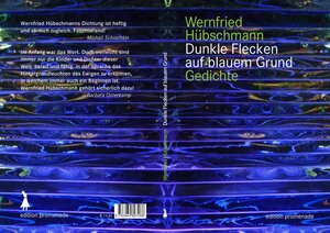 Buchcover Dunkle Flecken auf blauem Grund | Wernfried Hübschmann | EAN 9783944897066 | ISBN 3-944897-06-4 | ISBN 978-3-944897-06-6