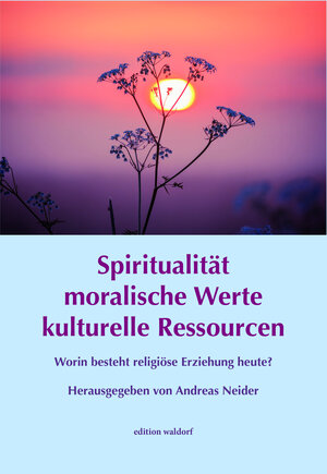 Buchcover Spiritualität moralische Werte kulturelle Ressourcen  | EAN 9783944911632 | ISBN 3-944911-63-6 | ISBN 978-3-944911-63-2