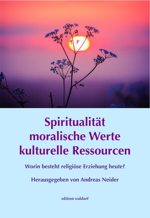 Buchcover Spiritualität moralische Werte kulturelle Ressourcen  | EAN 9783944911656 | ISBN 3-944911-65-2 | ISBN 978-3-944911-65-6
