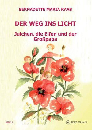 Buchcover Der Weg ins Licht | Bernadette Maria  Raab | EAN 9783945019849 | ISBN 3-945019-84-2 | ISBN 978-3-945019-84-9