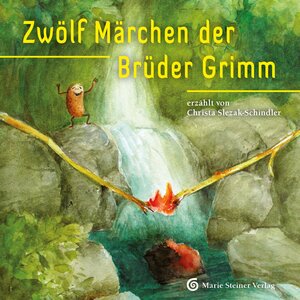 Buchcover Zwölf Märchen der Brüder Grimm  | EAN 9783945228067 | ISBN 3-945228-06-9 | ISBN 978-3-945228-06-7