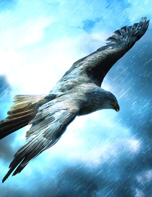 Buchcover Fantasy Notizbuch: Adler im Sturm - weiße Seiten mit Eckmotiv | Samuriel Sternenfeuer | EAN 9783945376584 | ISBN 3-945376-58-0 | ISBN 978-3-945376-58-4