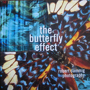 Buchcover the butterfly effect | Elliot Krasniewskie | EAN 9783945377215 | ISBN 3-945377-21-8 | ISBN 978-3-945377-21-5