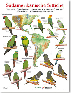 Buchcover Poster Südamerikanische Sittiche 4 | Thomas Arndt | EAN 9783945440612 | ISBN 3-945440-61-0 | ISBN 978-3-945440-61-2