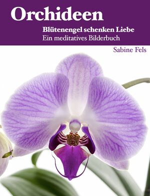 Buchcover Orchideen - Blütenengel schenken Liebe | Sabine Fels | EAN 9783945485224 | ISBN 3-945485-22-3 | ISBN 978-3-945485-22-4