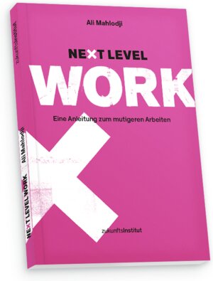 Buchcover Next Level Work | Ali Mahlodji | EAN 9783945647851 | ISBN 3-945647-85-1 | ISBN 978-3-945647-85-1