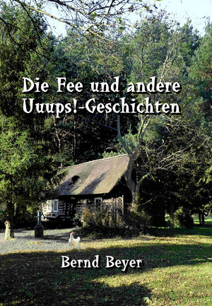 Buchcover Die Fee und andere Uuups!-Geschichten | Bernd Beyer | EAN 9783945699003 | ISBN 3-945699-00-2 | ISBN 978-3-945699-00-3