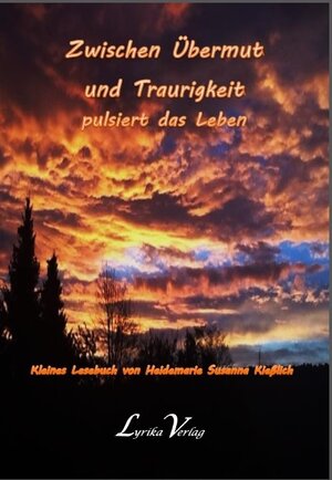 Buchcover Zwischen Übermut und Traurigkeit pulsiert das Leben | Heidemarie Susanna Kießlich | EAN 9783945798003 | ISBN 3-945798-00-0 | ISBN 978-3-945798-00-3