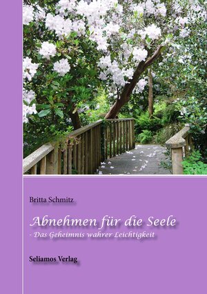 Buchcover Abnehmen für die Seele | Britta Schmitz | EAN 9783946092001 | ISBN 3-946092-00-4 | ISBN 978-3-946092-00-1