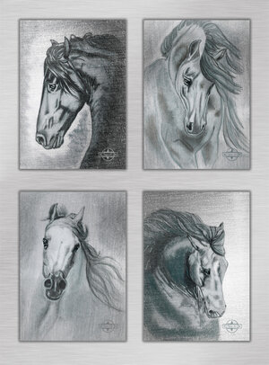 Buchcover Poster-Set „Horses – Silver Edition“ | Susanne Kreuer | EAN 9783946239239 | ISBN 3-946239-23-4 | ISBN 978-3-946239-23-9