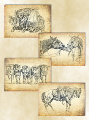 Buchcover Poster-Set „Vaquero“ | Susanne Kreuer | EAN 9783946239246 | ISBN 3-946239-24-2 | ISBN 978-3-946239-24-6