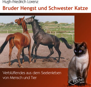 Buchcover Bruder Hengst und Schwester Katze | Hugh-Friedrich Lorenz | EAN 9783946433903 | ISBN 3-946433-90-1 | ISBN 978-3-946433-90-3