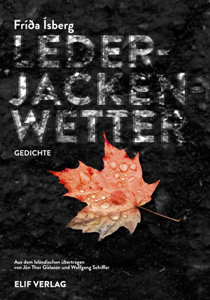 Buchcover Lederjackenwetter | Frida Ísberg | EAN 9783946989462 | ISBN 3-946989-46-2 | ISBN 978-3-946989-46-2