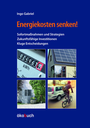 Buchcover Energiekosten senken! | Ingo Gabriel | EAN 9783947021369 | ISBN 3-947021-36-4 | ISBN 978-3-947021-36-9