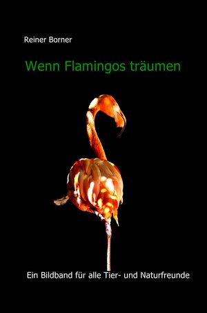 Buchcover Wenn Flamingos träumen | Reiner Borner | EAN 9783947110605 | ISBN 3-947110-60-X | ISBN 978-3-947110-60-5