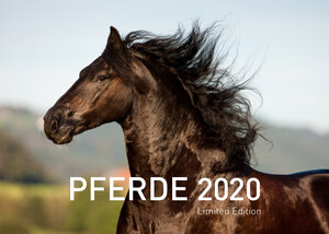 Buchcover Pferde Exklusivkalender 2020 (Limited Edition)  | EAN 9783947164905 | ISBN 3-947164-90-4 | ISBN 978-3-947164-90-5