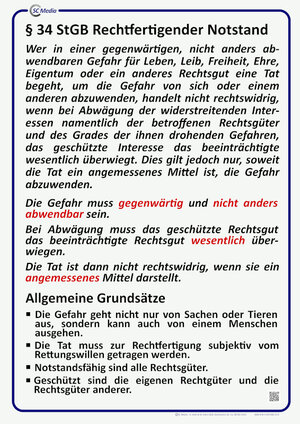 Buchcover Lehrtafel § 34 StGB rechtfertigender Notstand | Helmut Hohl | EAN 9783947200139 | ISBN 3-947200-13-7 | ISBN 978-3-947200-13-9