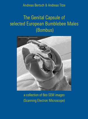Buchcover The Genital Capsule of selected European Bumblebee Males (Bombus) | Andreas Bertsch | EAN 9783947278404 | ISBN 3-947278-40-3 | ISBN 978-3-947278-40-4