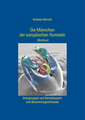 Buchcover Die Männchen der europäischen Hummeln (Bombus) | Andreas Bertsch | EAN 9783947278435 | ISBN 3-947278-43-8 | ISBN 978-3-947278-43-5