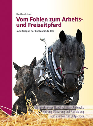 Buchcover Vom Fohlen zum Arbeits- und Freizeitpferd - am Beispiel der Kaltblutstute Ella  | EAN 9783947346066 | ISBN 3-947346-06-9 | ISBN 978-3-947346-06-6