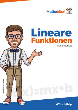 Buchcover Lineare Funktionen Trainingsheft | Andreas Schneider | EAN 9783947506033 | ISBN 3-947506-03-1 | ISBN 978-3-947506-03-3