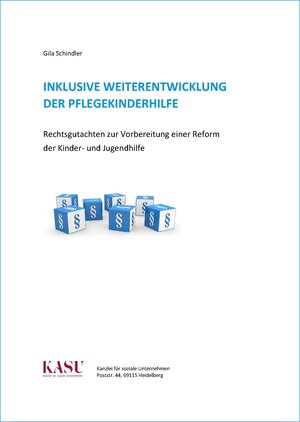 Buchcover Inklusive Weiterentwicklung der Pflegekinderhilfe | Gila Schindler | EAN 9783947704026 | ISBN 3-947704-02-X | ISBN 978-3-947704-02-6