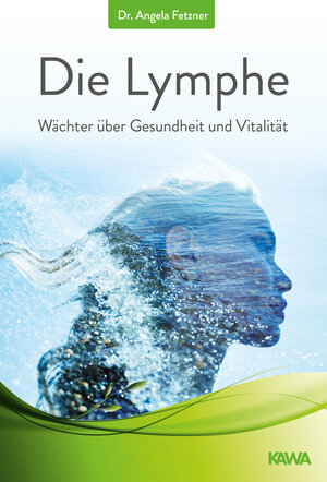 Buchcover Die Lymphe | Dr. Angela Fetzner | EAN 9783947738885 | ISBN 3-947738-88-9 | ISBN 978-3-947738-88-5