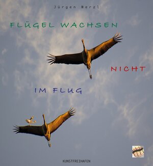 Buchcover FLÜGEL WACHSEN NICHT IM FLUG | Jürgen Werzl | EAN 9783947761029 | ISBN 3-947761-02-3 | ISBN 978-3-947761-02-9