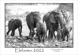 Buchcover ELEFANTEN - Kalender 2022  | EAN 9783947895403 | ISBN 3-947895-40-2 | ISBN 978-3-947895-40-3