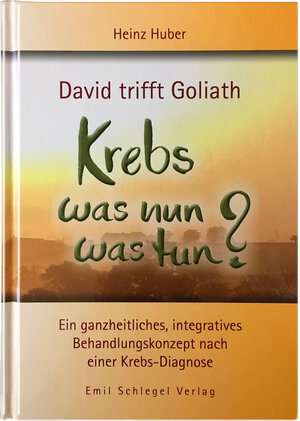 Buchcover David trifft Goliath - Krebs was nun was tun? | Heinz Huber | EAN 9783947997008 | ISBN 3-947997-00-0 | ISBN 978-3-947997-00-8
