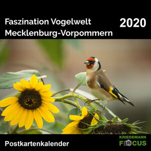 Buchcover Faszination Vogelwelt - Mecklenburg-Vorpommern 2020  | EAN 9783948179052 | ISBN 3-948179-05-0 | ISBN 978-3-948179-05-2