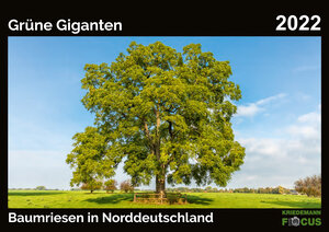 Buchcover Grüne Giganten - Baumriesen in Norddeutschland 2022  | EAN 9783948179090 | ISBN 3-948179-09-3 | ISBN 978-3-948179-09-0