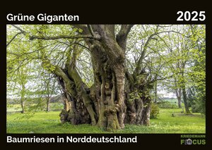 Buchcover Grüne Giganten - Baumriesen in Norddeutschland 2025  | EAN 9783948179144 | ISBN 3-948179-14-X | ISBN 978-3-948179-14-4