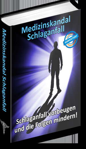 Buchcover Medizinskandal Schlaganfall | Thomas Chrobok | EAN 9783948558079 | ISBN 3-948558-07-8 | ISBN 978-3-948558-07-9