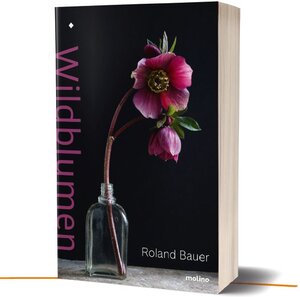 Buchcover Wildblumen  | EAN 9783948696078 | ISBN 3-948696-07-1 | ISBN 978-3-948696-07-8