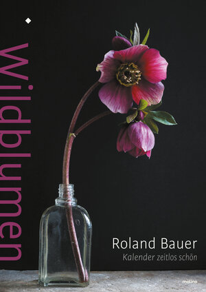 Buchcover Wildblumen  | EAN 9783948696085 | ISBN 3-948696-08-X | ISBN 978-3-948696-08-5